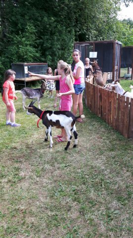 Sommer 2016 (14)
